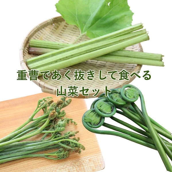 紫桜館山の花屋 | 全商品一覧 - 「山菜苗セット： 重曹であく抜きして