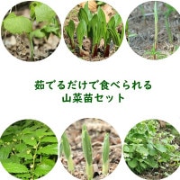 ĥåȡ 觤Ǥǿ٤뻳ġƣݥåȥåȡڥܥʡ祦˥˥ʥ륳ꡦߥ業Ȫ掠ӡ