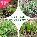 ĥåȡ觤Ǥǿ٤뻳ġ45åȡڥܥʡ祦˥˥Ȫ掠ӡɥۢٺѤ