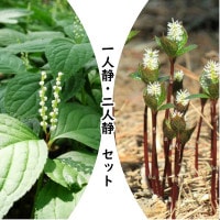 �����𥻥åȡ�����Ť�����š�2���3�ݥåȥ��åȡ�