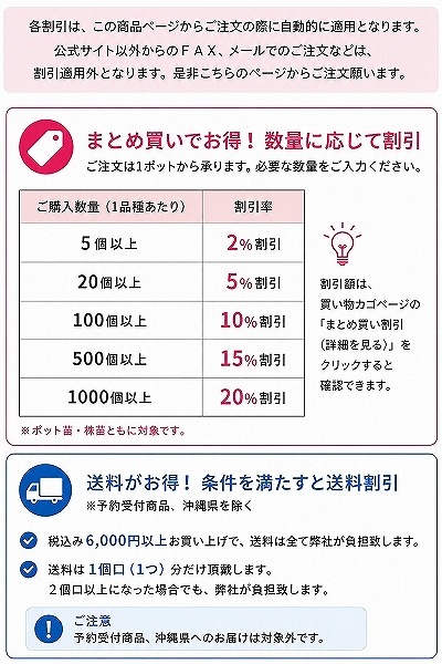 紫桜館山の花屋 | 全商品一覧 - 「トチバニンジン 9～10.5cmポット苗