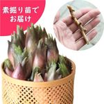 �����ߥ祦�����Ƿ����ġ�������/��謲�/�����ٺѤ� ���������3��16���ޤǲ�ǽ