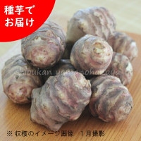 ��긩����饵���������⡡���1kg(�ܰ�5��10��)�ֵư�/�ե�󥹥�������/����/���ݴ����������Ի���/���դ�/�����ٺѤ�