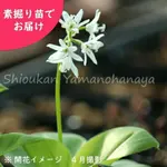 .ͽ������梧�ĥХᥪ��ȡ��Ƿ����ġ�������/�Ѵ���¿ǯ��/����ǯ��/��2026ǯ10��23�����Ϥ�����