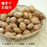 ͽ������梧��긩�����ԥ��������Ŀ�ñ�̡��ۤɤ���/����/���ݴ����������Ի���/���դ�/������/��2026ǯ11��27�����Ϥ�����