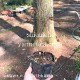 ��������� ���ɥ�ȥե��顡10.5cm�ݥå��ġ�������/�Ѵ���¿ǯ��/Ļ­����/�ȥꥢ�����祦��/���������ֽ�λ 7/10�դ�Ÿ����
