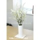 ���饷�ʥ��祦�ޡ�10.5cm�ݥå��ġ�������/�Ѵ���¿ǯ��/���ߥ��ե�/���ߥ��ե�/��ǯ���ָ�������/��8/18�դ˽��ߤ���