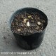 ���ޥɥ�����10.5cm�ݥå��ġ�������/�Ѵ���¿ǯ��/����Ϸ/�ʥ륳���/����̲ �Ͼ���̵��