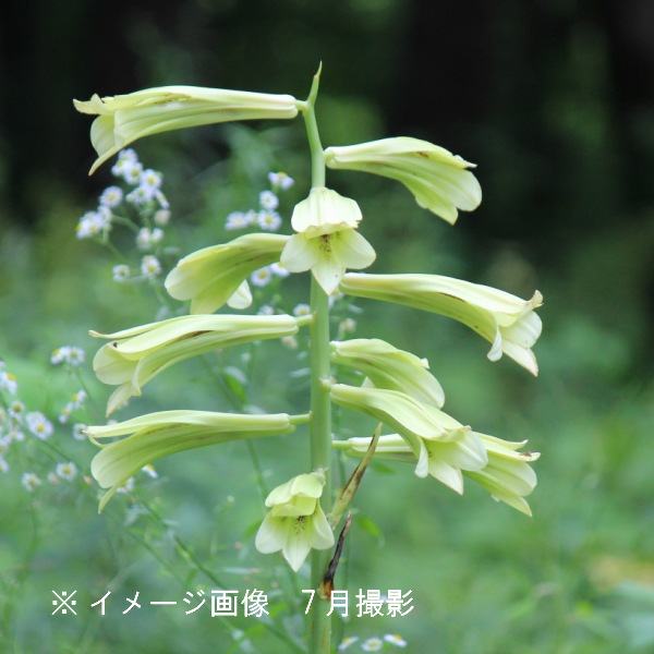 3_000000000048.jpg?1678209905