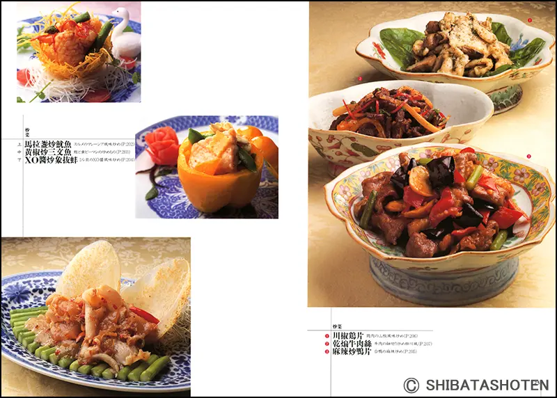 プロのためのわかりやすい中国料理 ｜食の総合出版社 柴田書店公式サイト