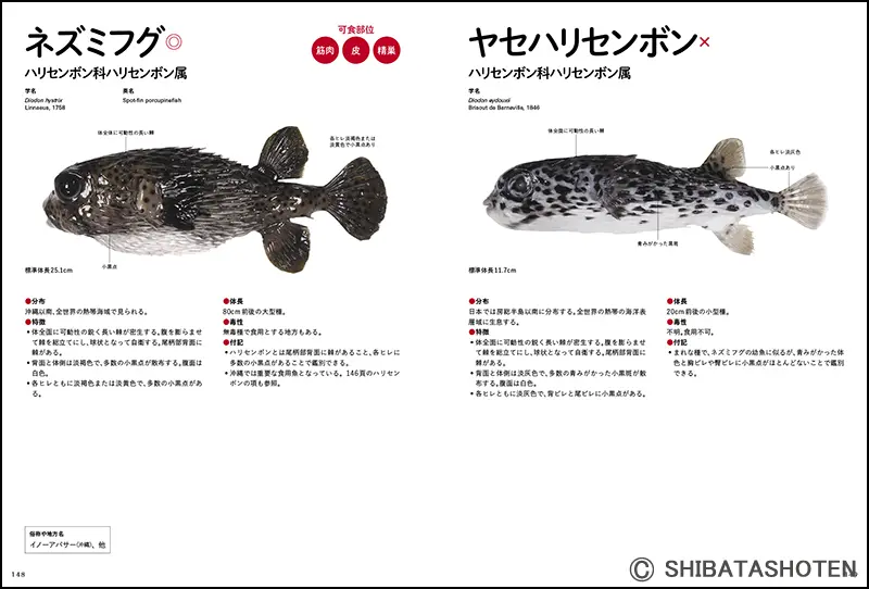 最新ふぐ調理大全 ｜食の総合出版社 柴田書店公式サイト