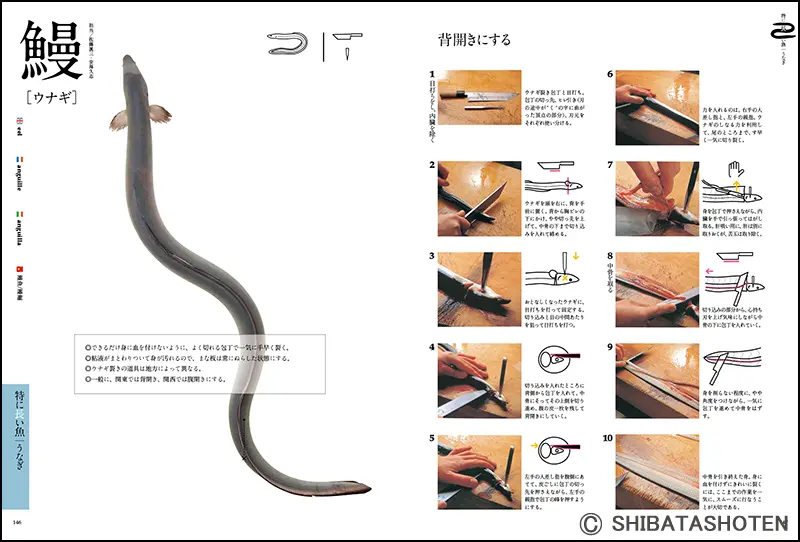 魚のおろし方 ｜食の総合出版社 柴田書店公式サイト