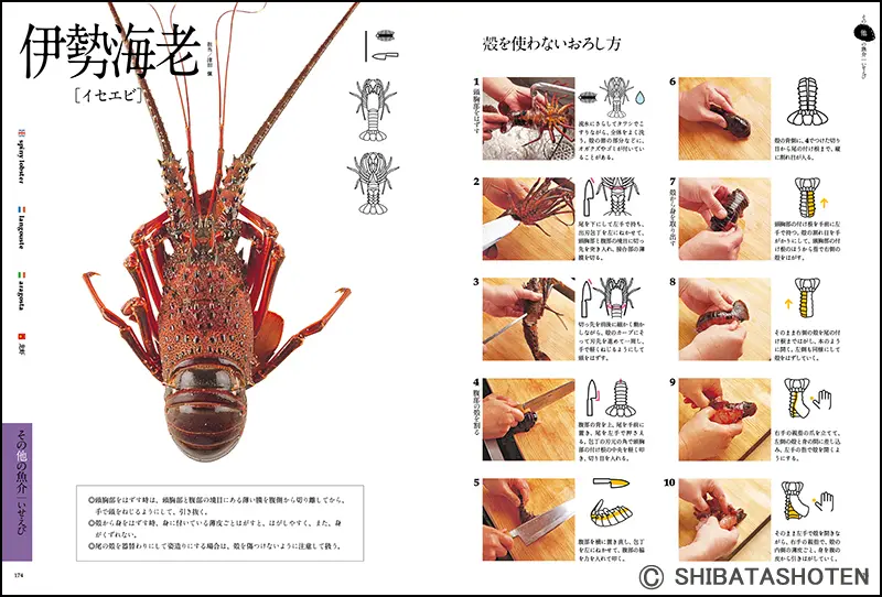 魚のおろし方 ｜食の総合出版社 柴田書店公式サイト