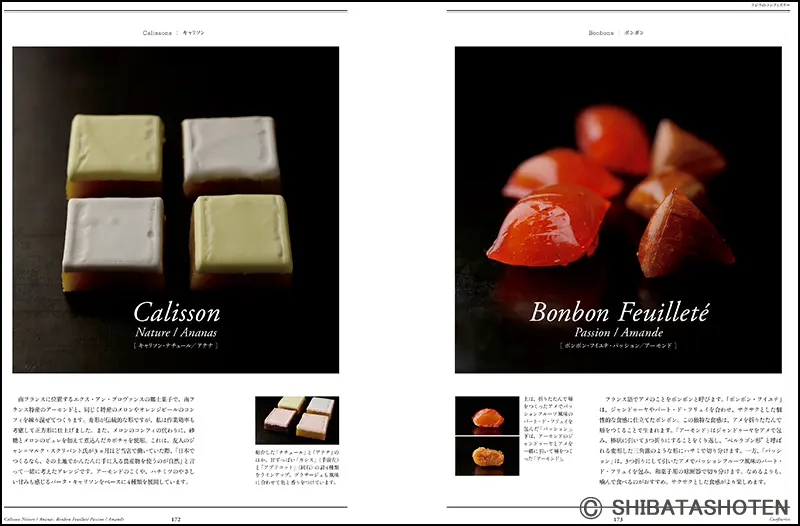 標準フランス菓子／洋菓子全書 2冊セット パティスリー専門書 古書 パティスリー・ドゥ・シェフ・フジウの現代に甦るフランス古典菓子