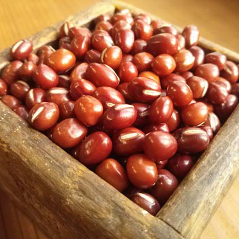 ようかん 一本サイズ 練りようかん