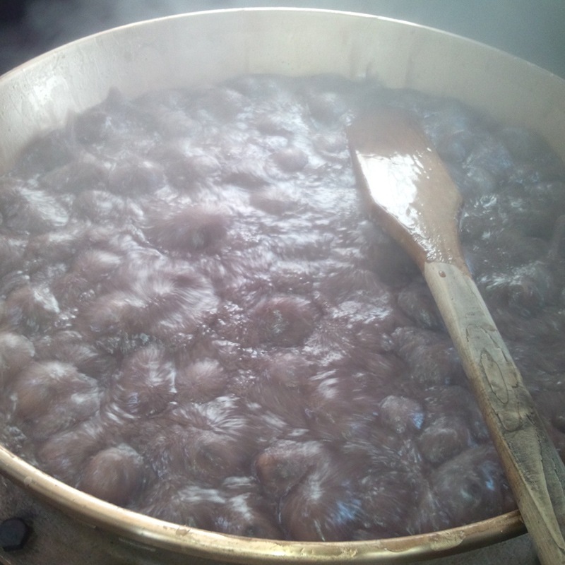 ようかん 一本サイズ 練りようかん