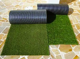 �ꥢ�꡼�����ա��͹���