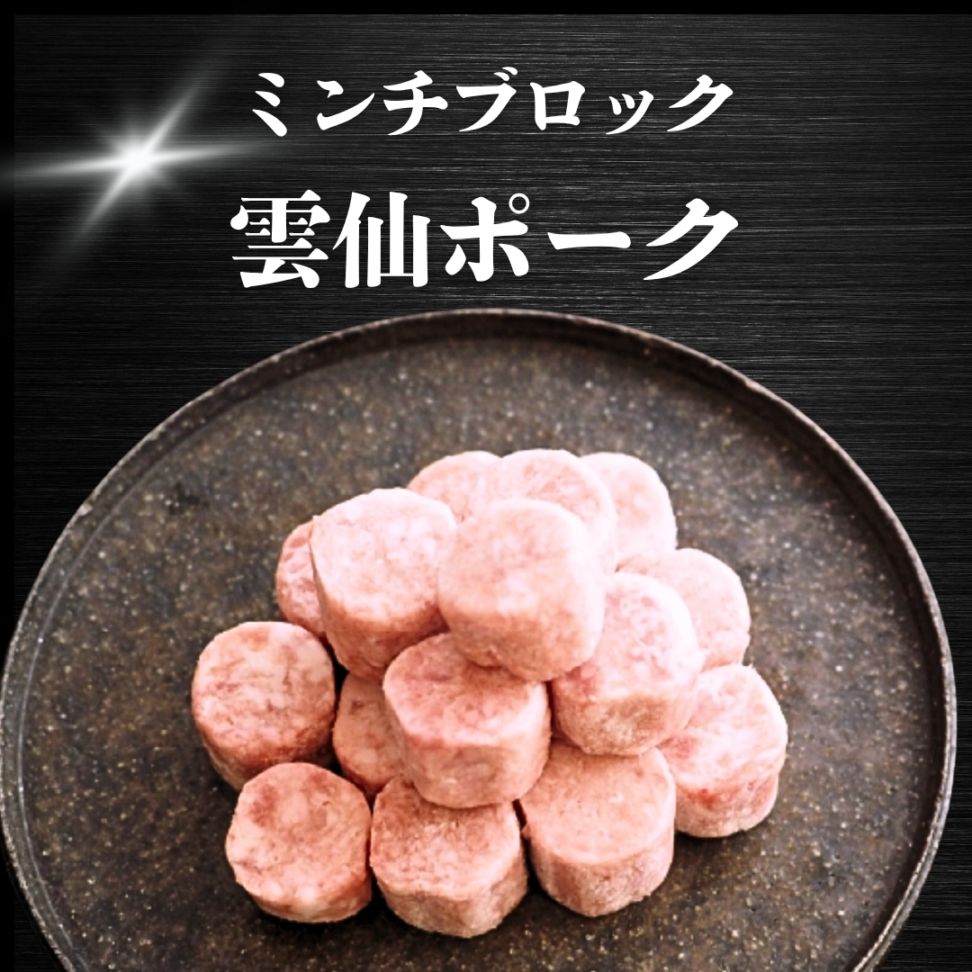 【犬猫用】029九州産ブランド豚ミンチブロック（冷凍商品）