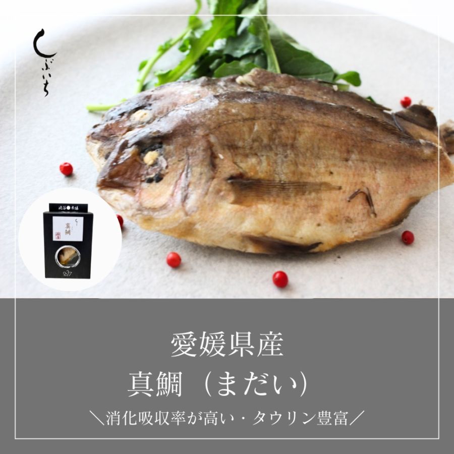 犬用・猫用】037 愛媛県産 真鯛（タイ）レトルト | 国産魚レトルト