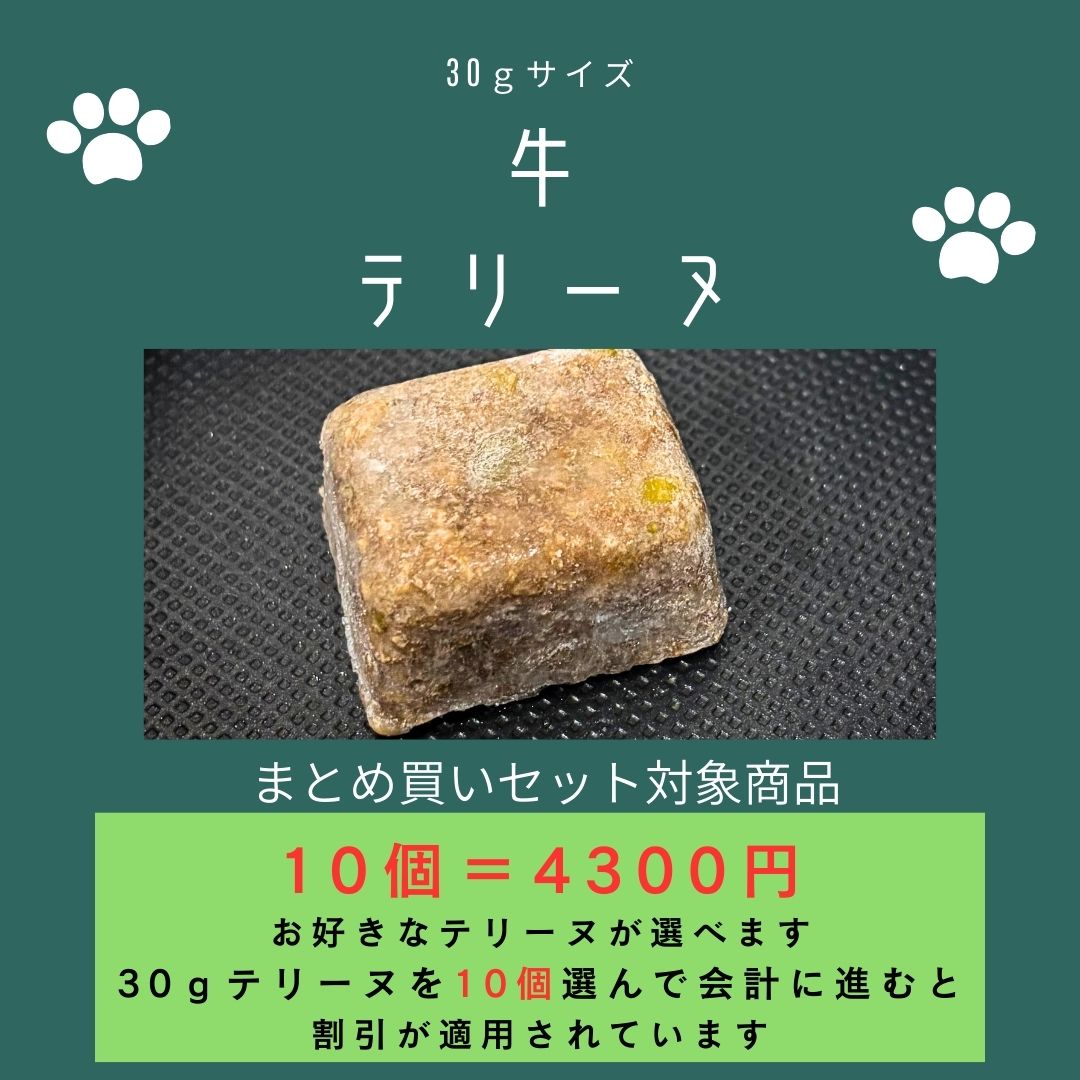 029牛テリーヌ30g