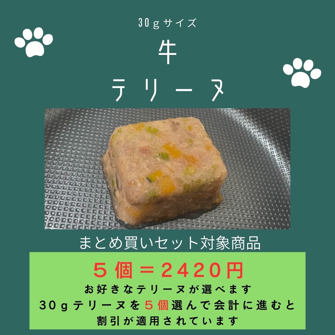 029牛テリーヌ30g