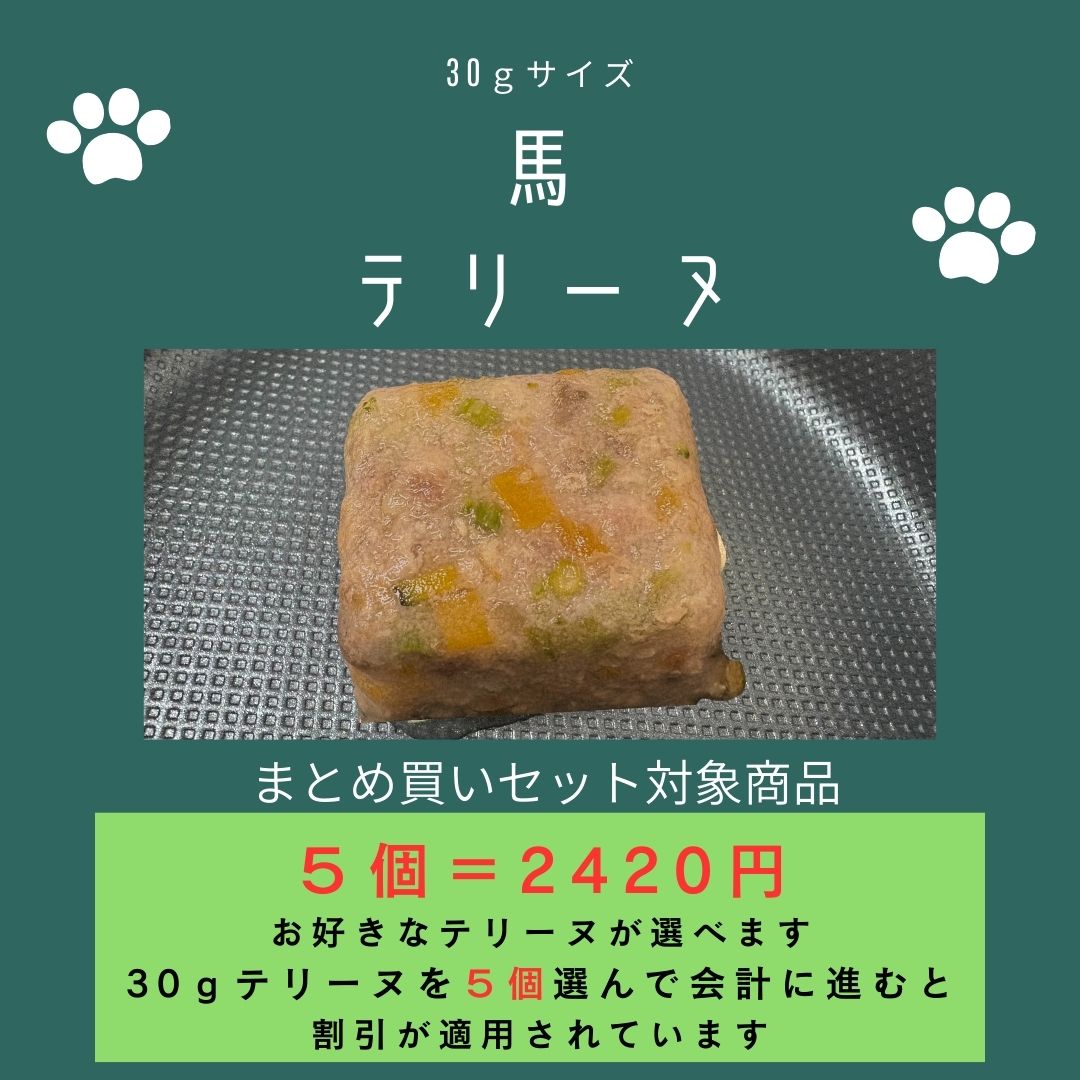 029馬テリーヌ30g