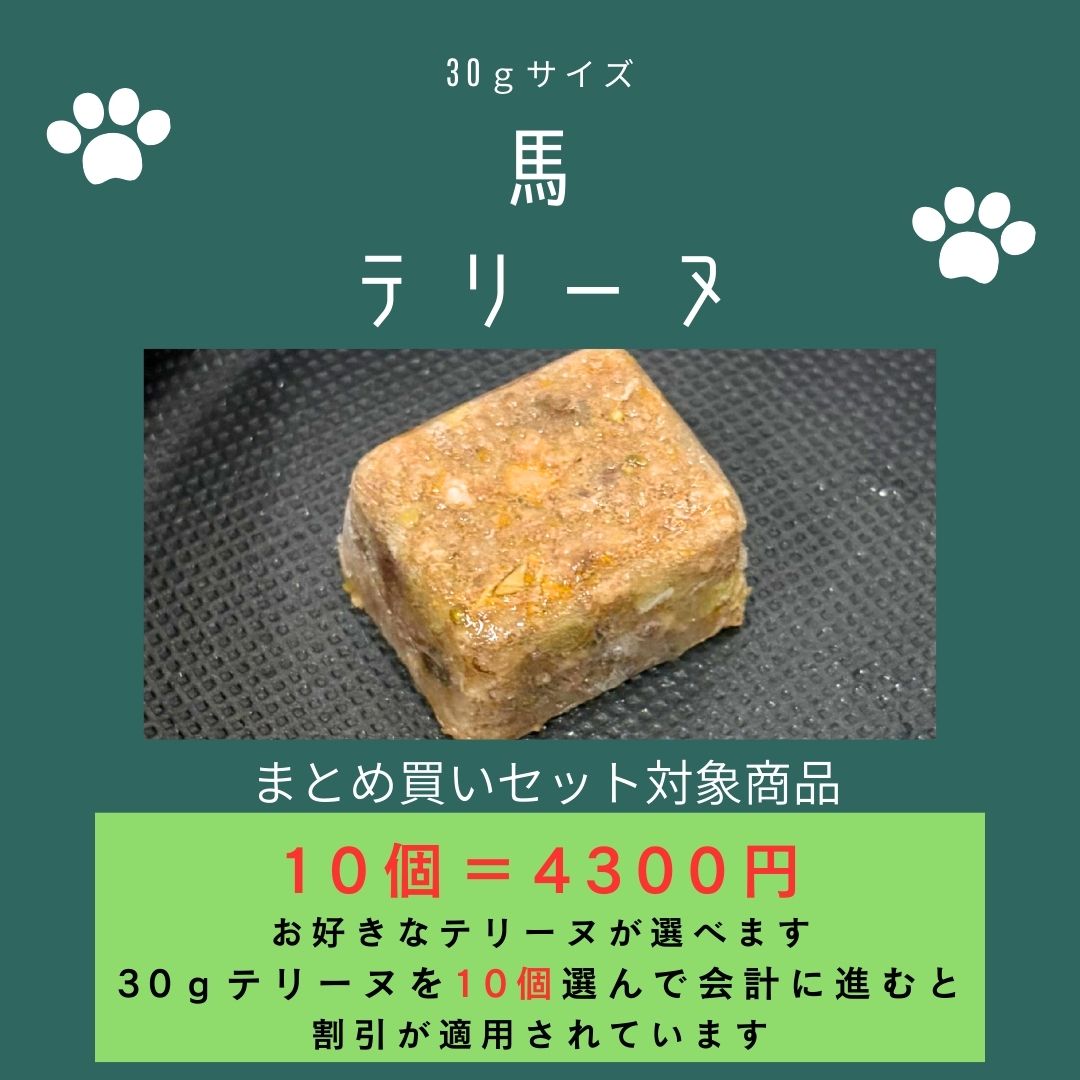 029馬テリーヌ30g