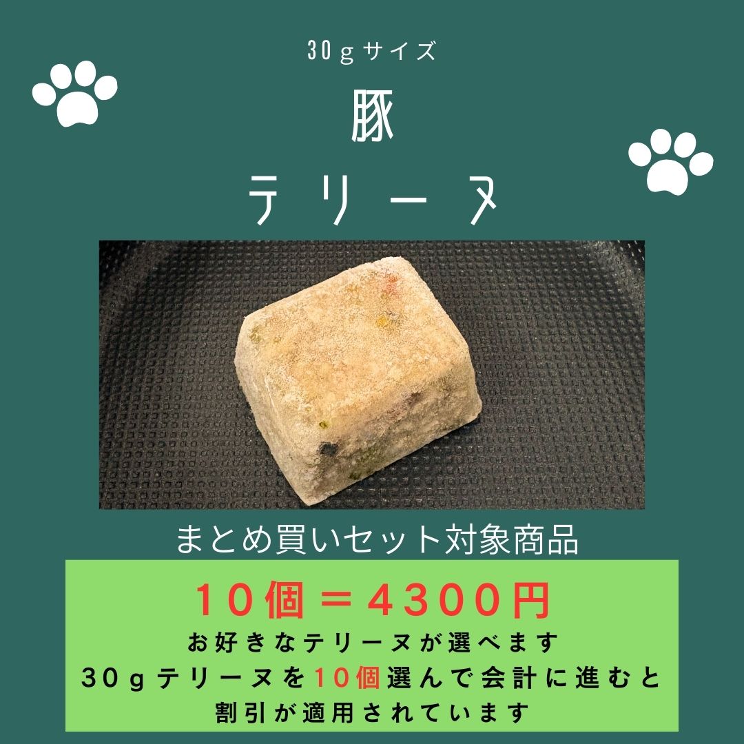029豚テリーヌ30g