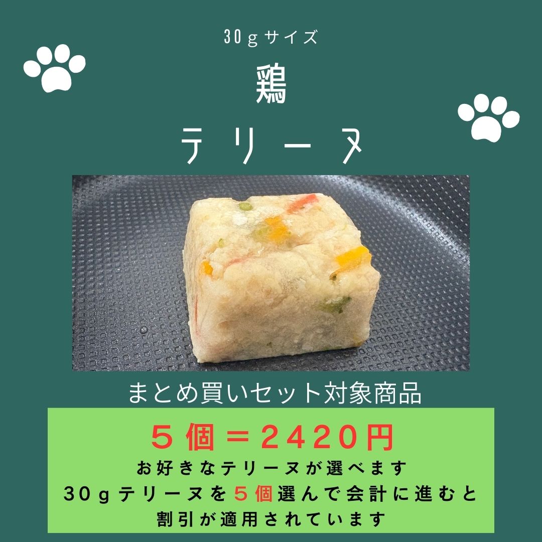 029鶏テリーヌ30g