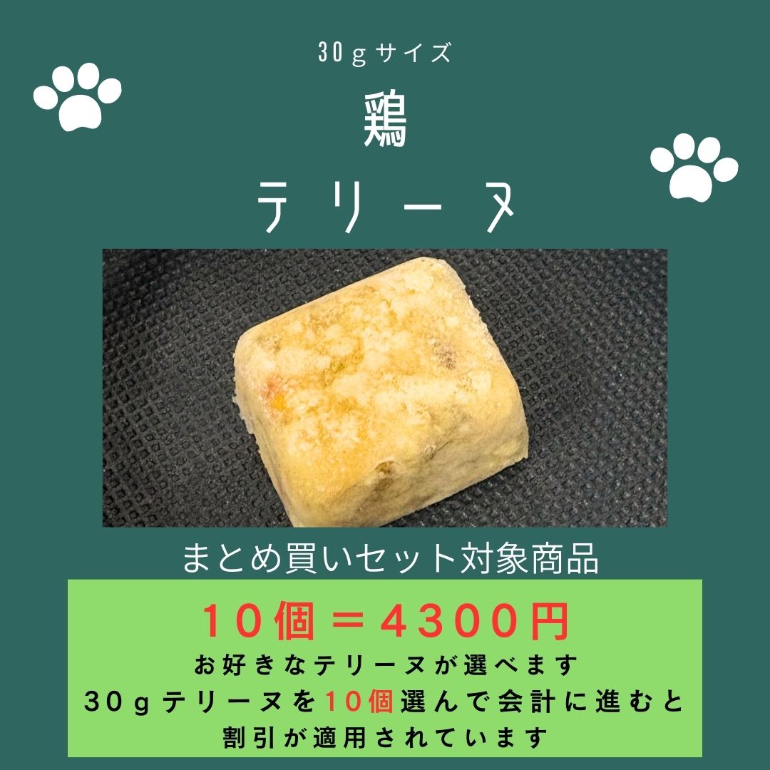 029鶏テリーヌ30g