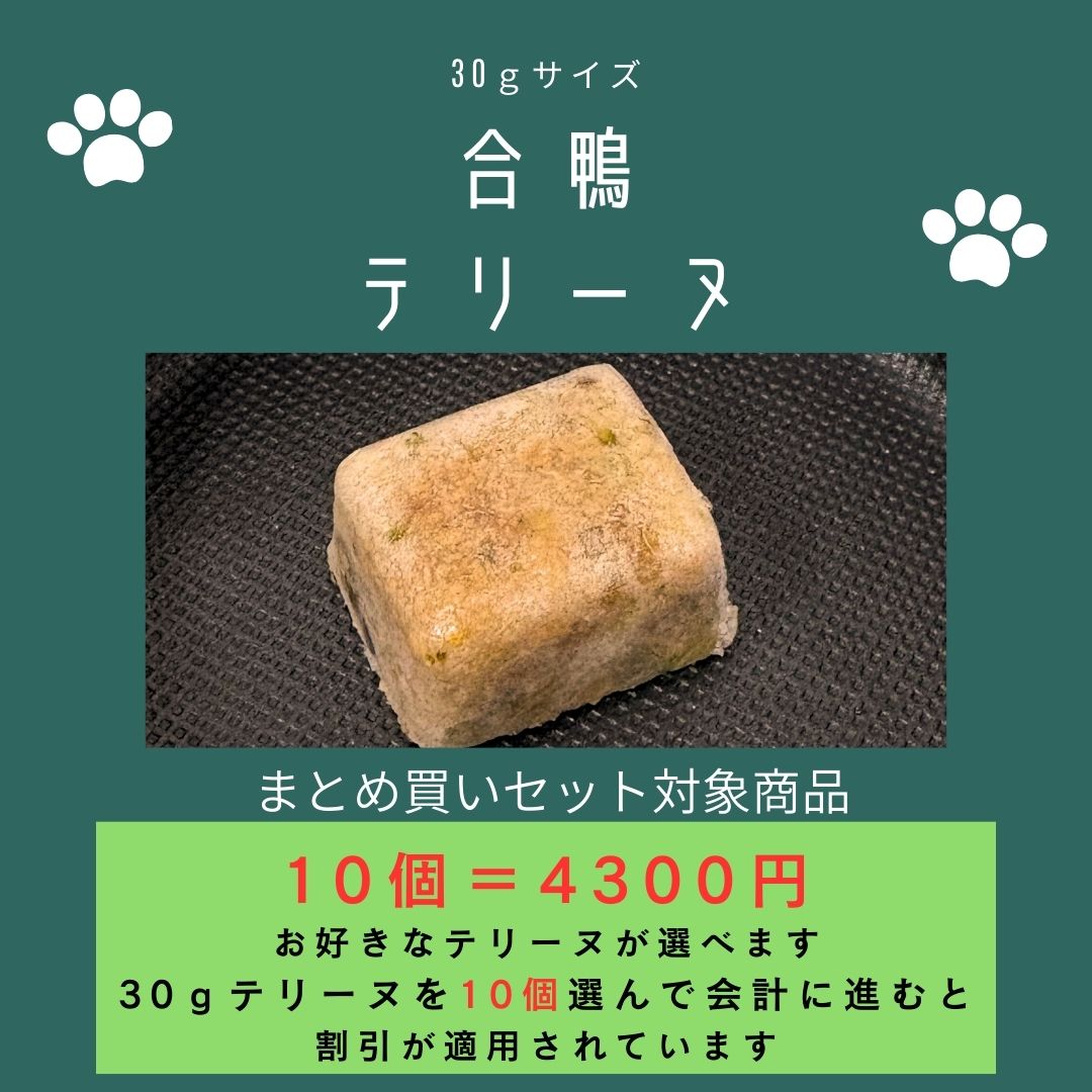 029合鴨テリーヌ30g