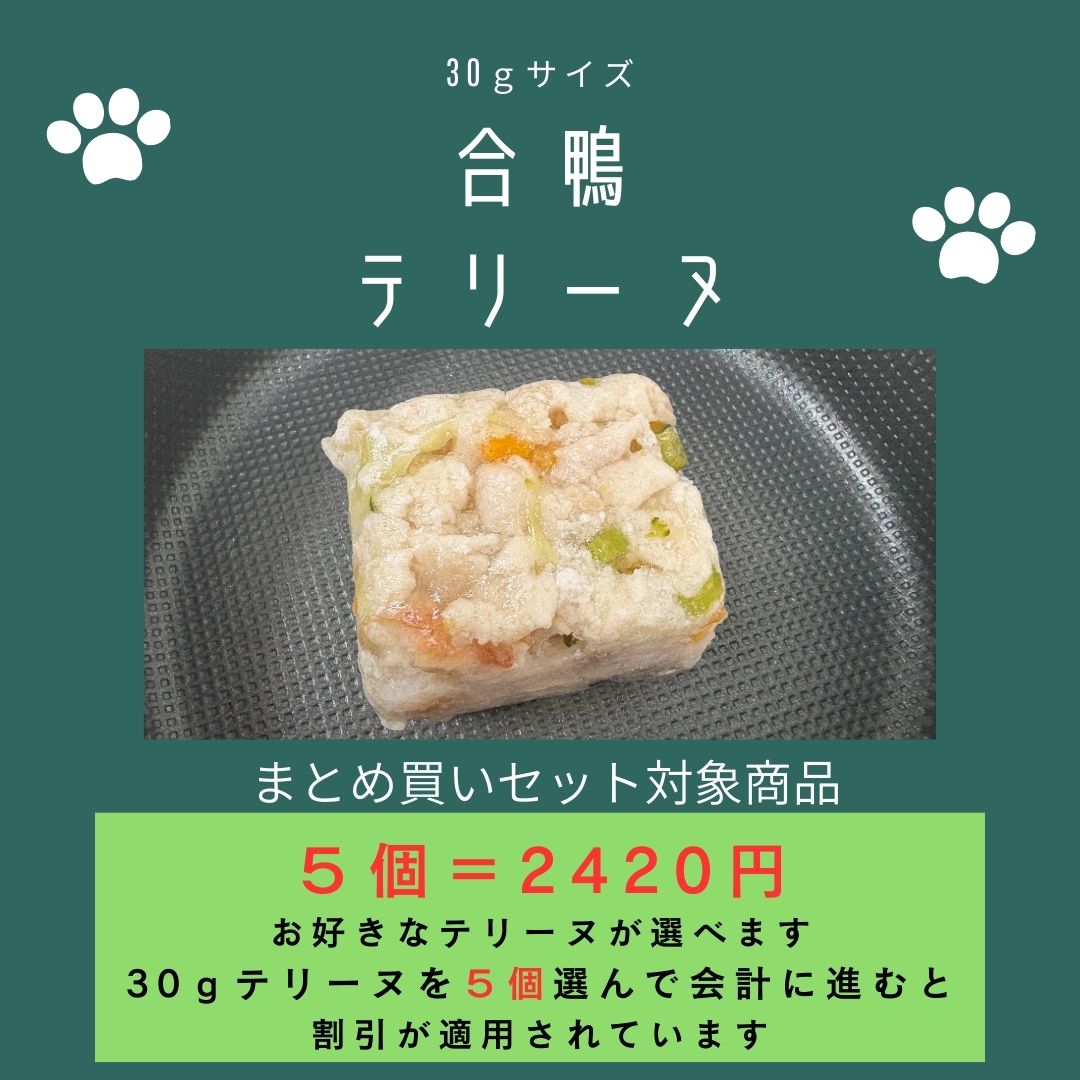 029合鴨テリーヌ30g