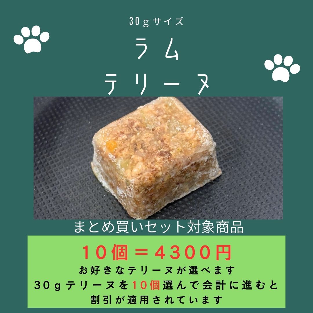 029ラムテリーヌ30g