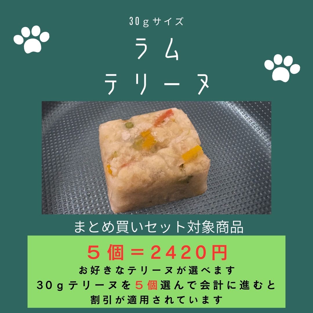 029ラムテリーヌ30g