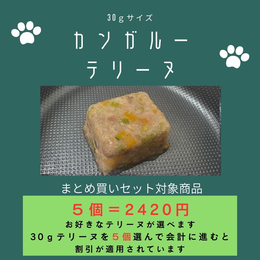 029カンガルーテリーヌ30g