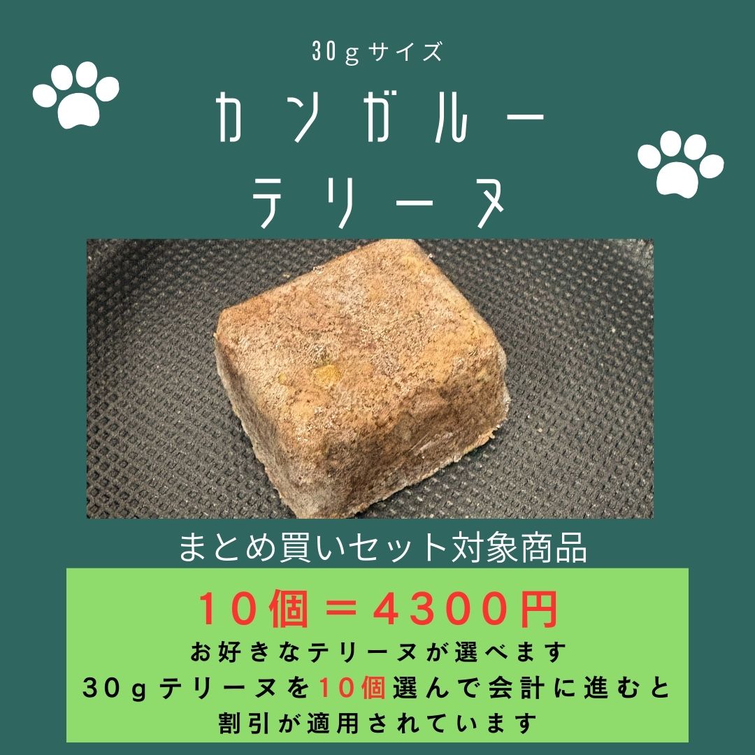 029カンガルーテリーヌ30g