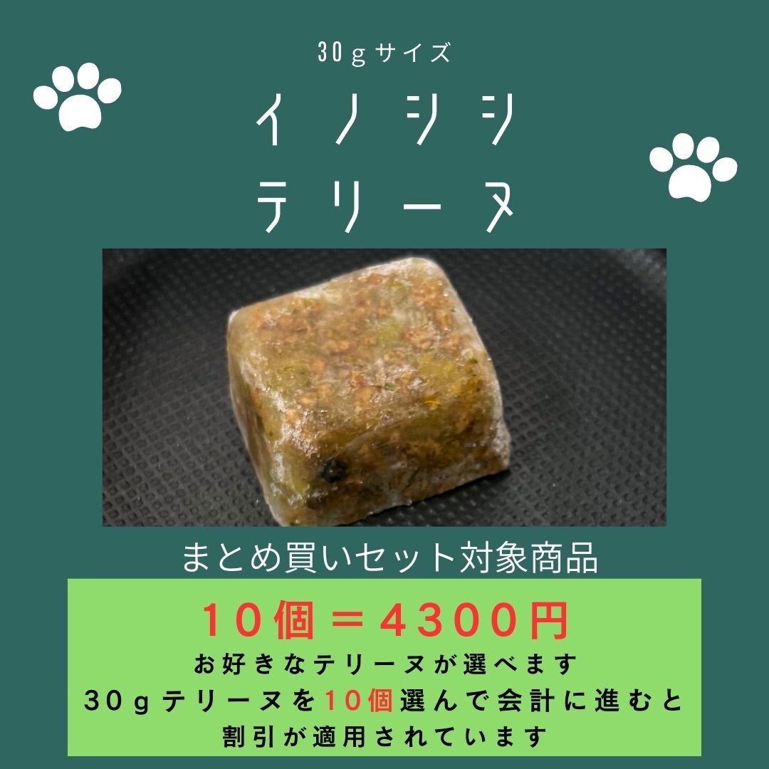 029猪テリーヌ30g