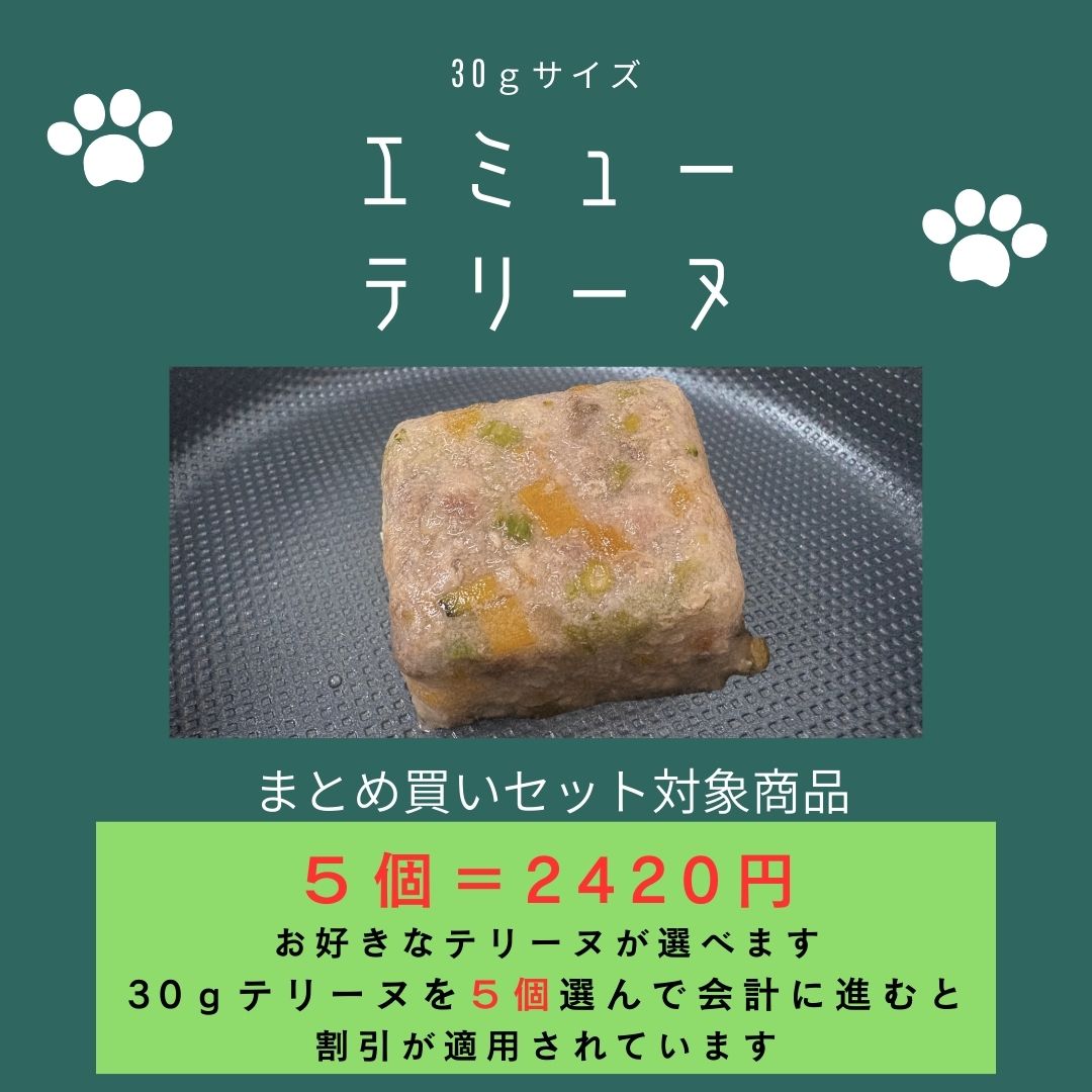 029エミューテリーヌ30g