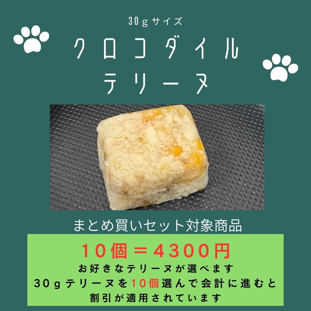 029クロコダイルテリーヌ30g