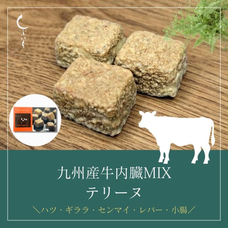 【犬用・猫用】029国産牛内臓MIXテリーヌ90g(30g×3個)（冷凍商品）