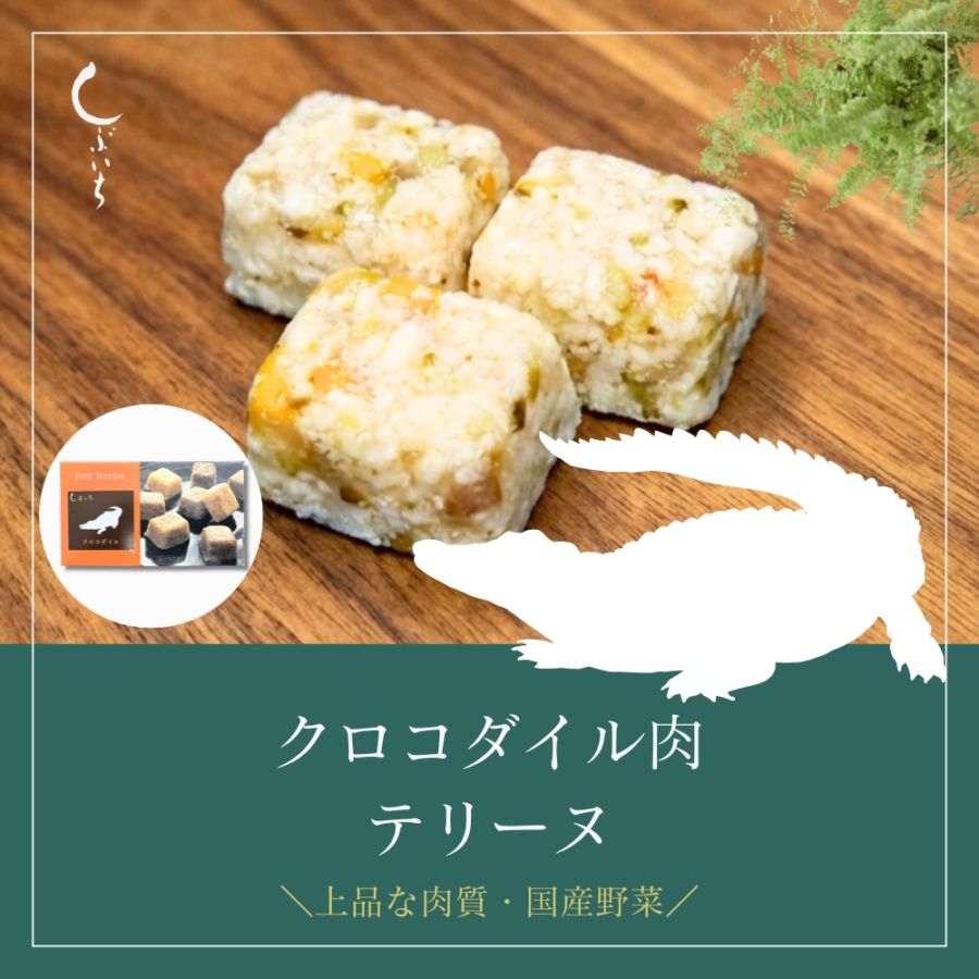 【増量キャンペーン】【犬用・猫用】029クロコダイルテリーヌ90g(30g×３個)＋１個増量（冷凍商品）