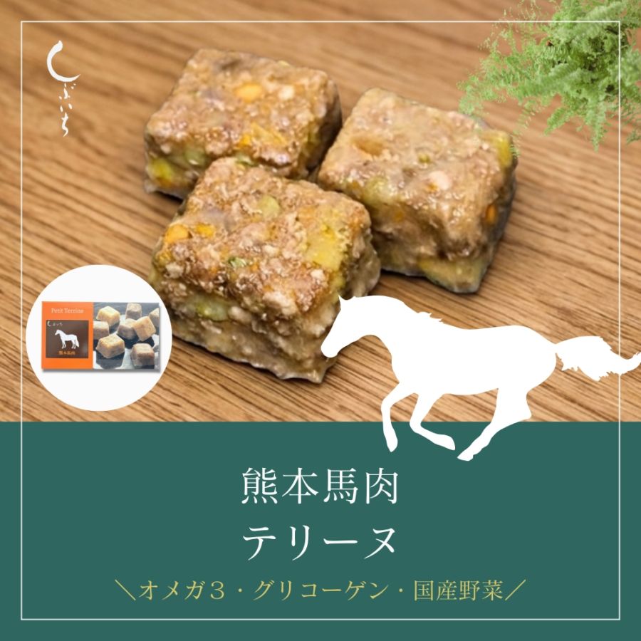 【増量キャンペーン】【犬用・猫用】029馬テリーヌ90g(30g×3個)＋１個増量（冷凍商品）