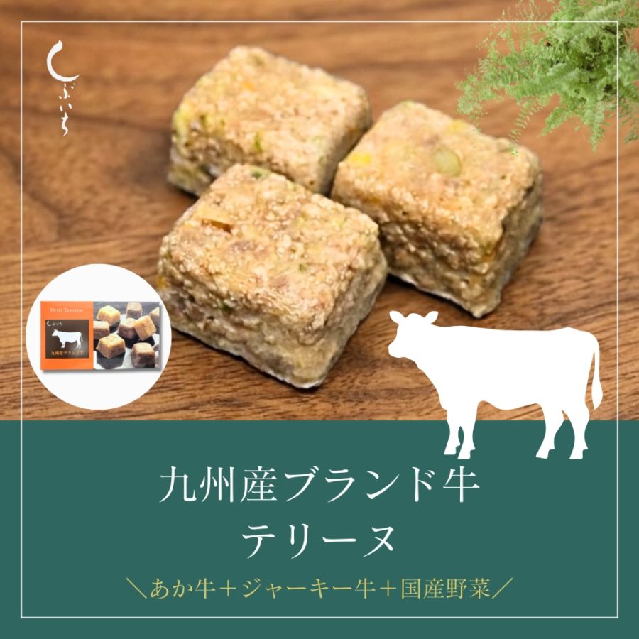 【増量キャンペーン】【犬用・猫用】029牛テリーヌ90g(30ｇ×3個)（冷凍商品）