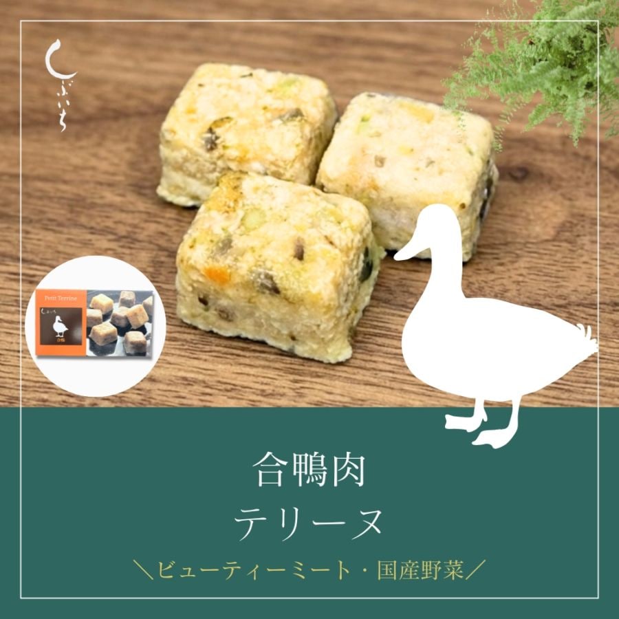 【増量キャンペーン】【犬用・猫用】029合鴨テリーヌ90g(30g×３個)＋１個増量（冷凍商品）