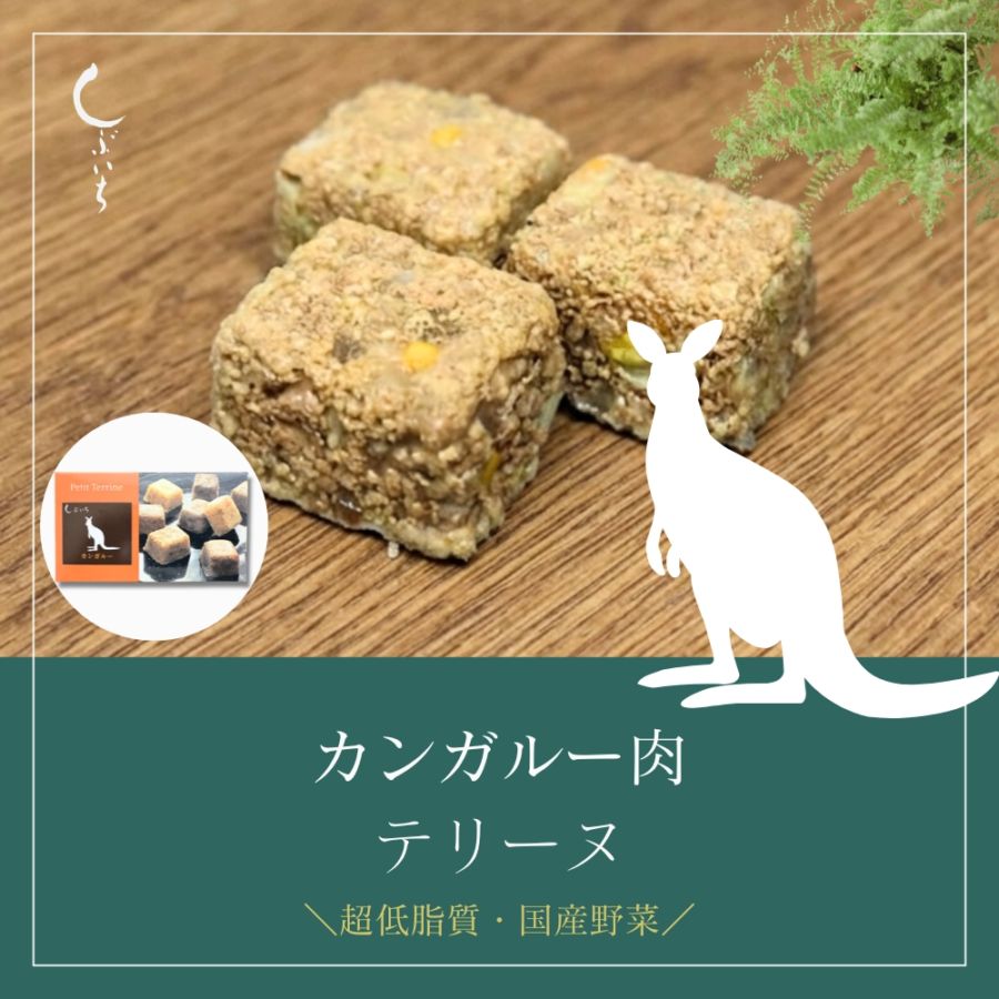 【増量キャンペーン】【犬用・猫用】029カンガルーテリーヌ90g(30g×３個)＋１個増量（冷凍商品）