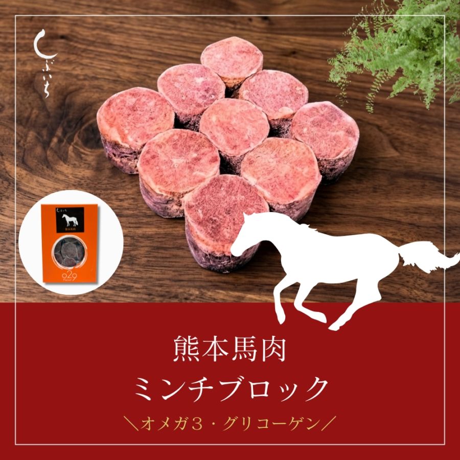 【犬用・猫用】029熊本馬肉ミンチブロック110ｇ（冷凍商品）