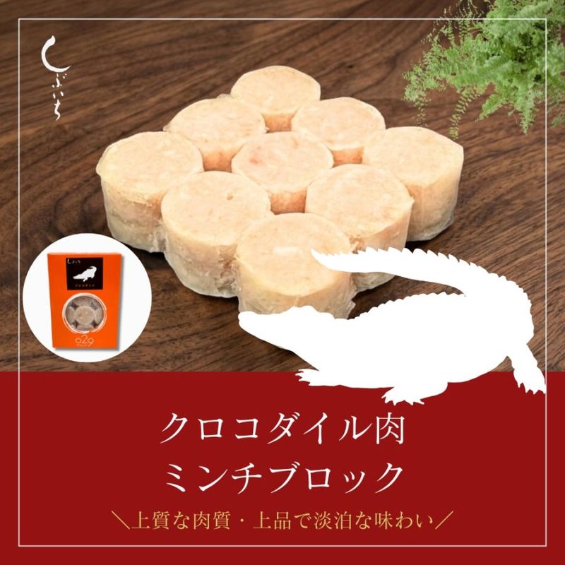 【犬用・猫用】029クロコダイル肉ミンチブロック110g（冷凍商品）