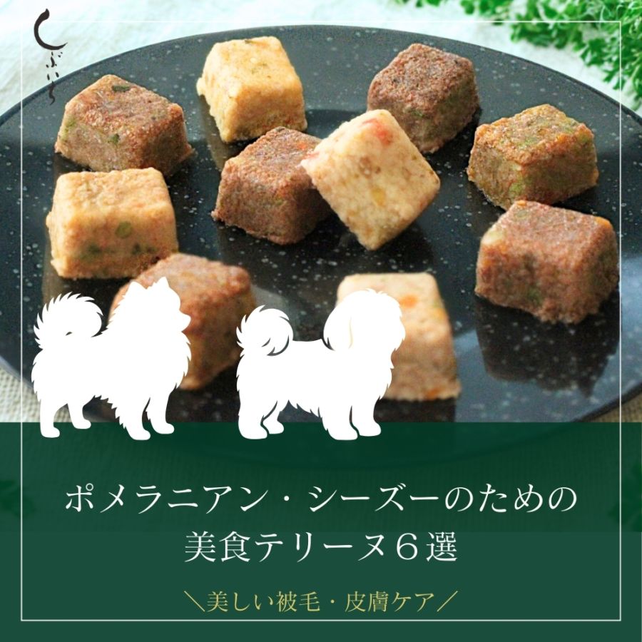 【ポメラニアン・シーズーのための】美食テリーヌ6選(クロコダイル・エミュー・イノシシ・合鴨・鶏・牛)