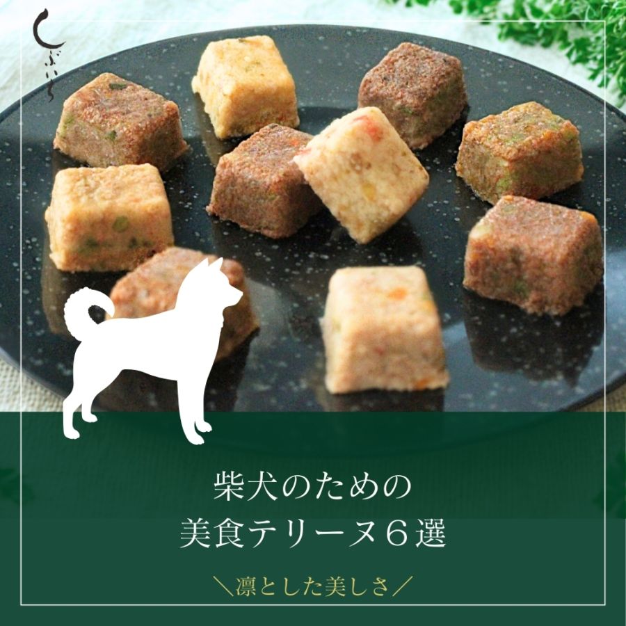 【柴犬のための】美食テリーヌ6選（クロコダイル・カンガルー・イノシシ・合鴨・鶏・豚）