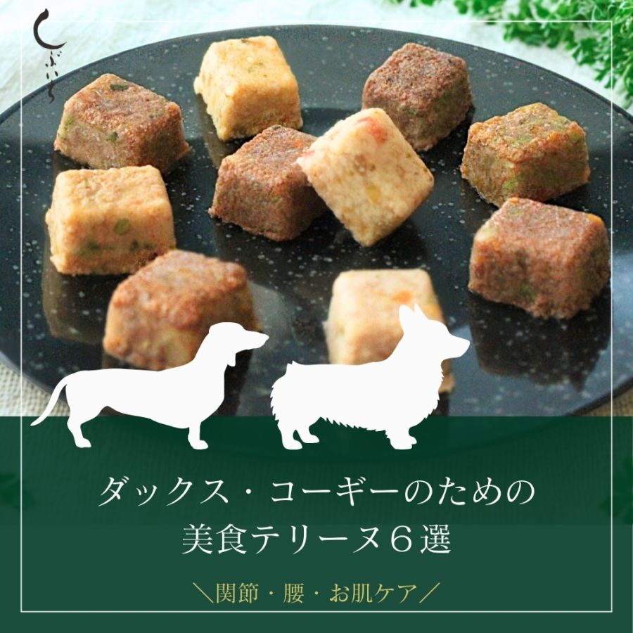 【ダックス・コーギーのための】美食テリーヌ6選（エミュー・カンガルー・クロコダイル・イノシシ・馬・鶏）